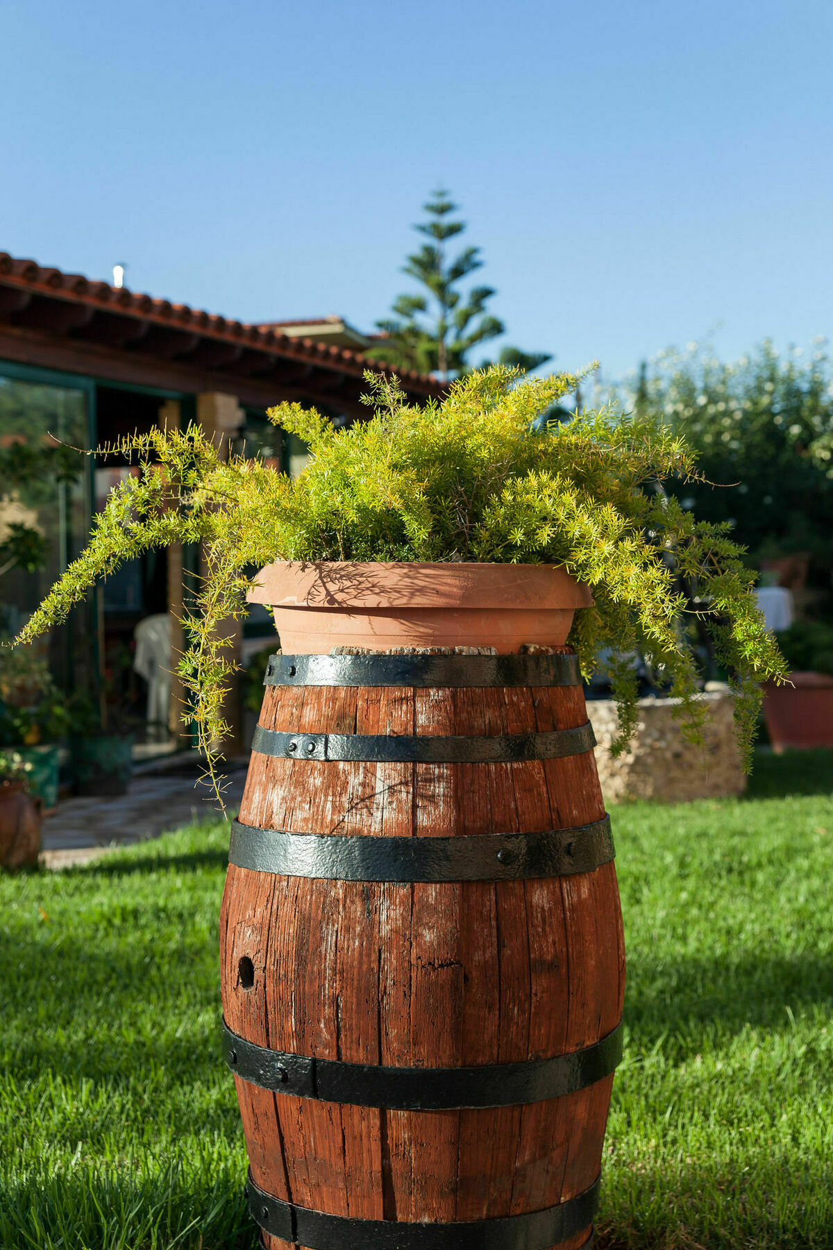 Nikos & Katerina Studios Agios Stefanos Avliotes  Exteriér fotografie